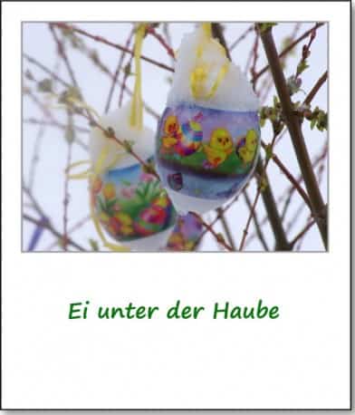 2008-ostersonntag-ei-unter-der-haube