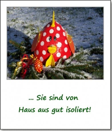 2008-schnee-huhn