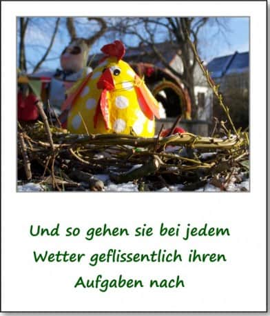 2008-schnee-huhn-aufgaben