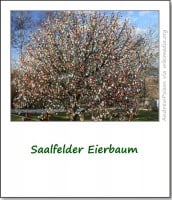 brauchtum-eierbaum-saalfeld