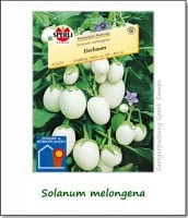 brauchtum-eierbaum-solanum-melongena