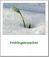 brauchtum-ostern-fruehlingserwachen