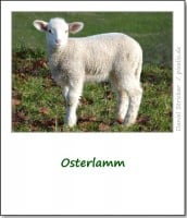 brauchtum-ostern-lamm