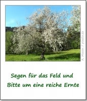 brauchtum-ostern-segen-fuers-feld