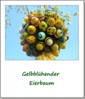 2009-eierbaum