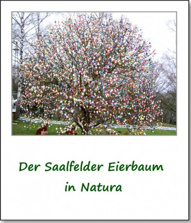 2009-eierbaum-saalfeld-01