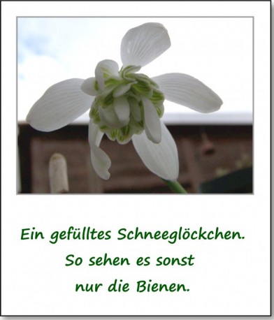 2009-fruehlingserwachen-04