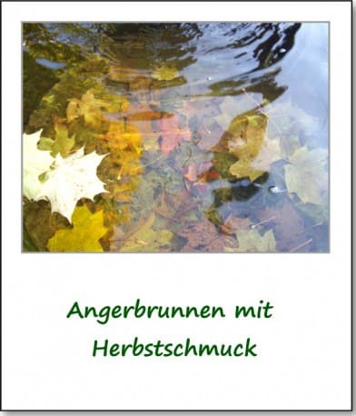 2009-herbstimpressionen-02