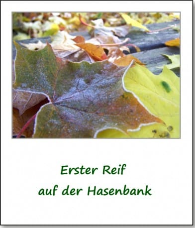 2009-herbstimpressionen-04