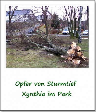 2009-presse-sturmtief-xynthia