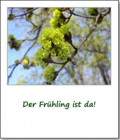 2009-queerbeet-karfreitag-01