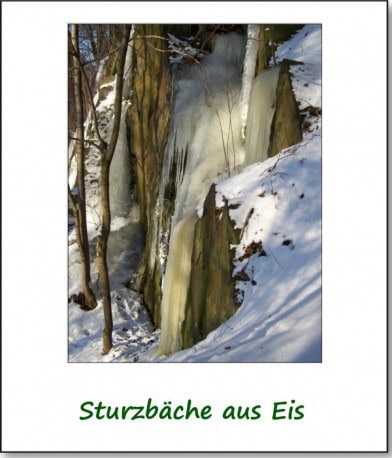 2009-winter-eiskoenigin-11