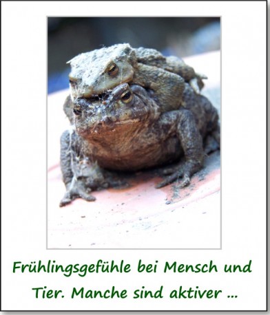 2011-fruehlingserwachen-04