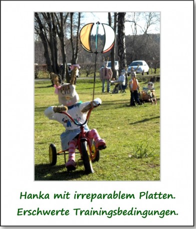 2012-park-hasen-02