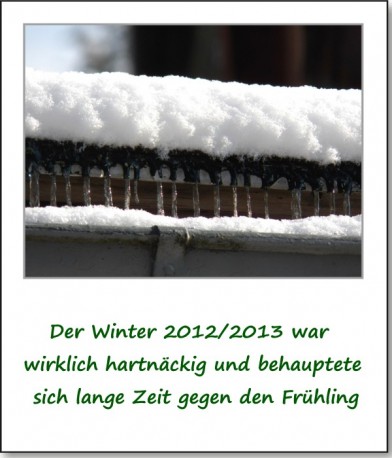 2013-fruehlingserwachen-01