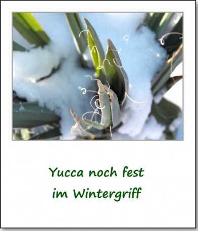 2013-fruehlingserwachen-02