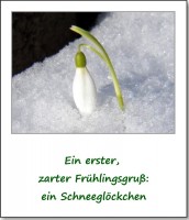 2013-fruehlingserwachen