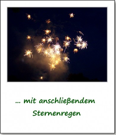 2008-parkfest-feuerwerk-05