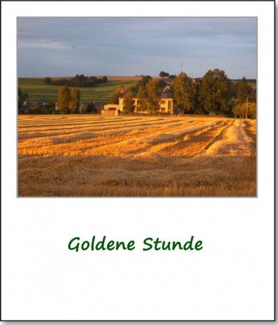 2012-gartenfest-goldene-stunde-02