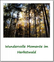 2012-hirschbacher-wald-von-seiner-schoensten-seite