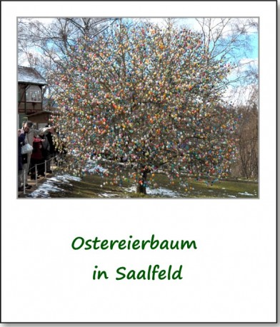 2012-querbeet-saalfeld-01