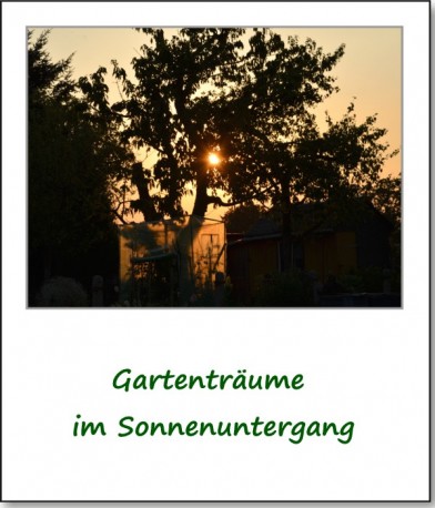 2013-gartenfest-04