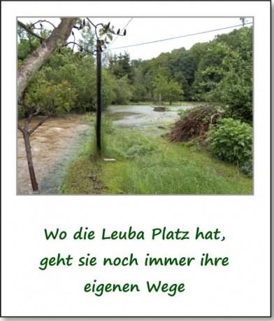 2013-hochwasser-leuba-montag-angerberg-07