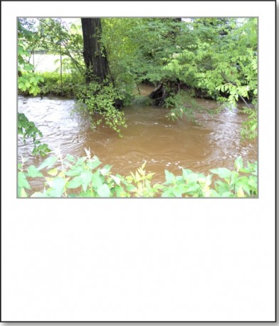 2013-hochwasser-leuba-montag-wiesenstrasse-03