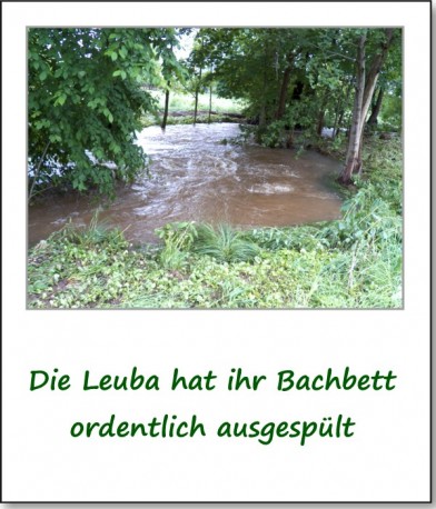 2013-hochwasser-leuba-montag-wiesenstrasse-05