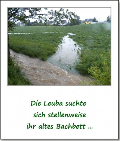 2013-hochwasser-leuba-sonntag-leubastrasse-siedelhofstrasse-04