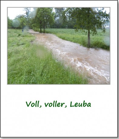 2013-hochwasser-leuba-sonntag-leubastrasse-siedelhofstrasse-07