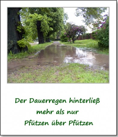 2013-hochwasser-leuba-sonntag-park-01