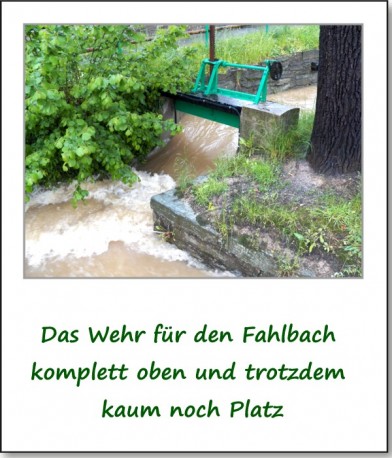 2013-hochwasser-leuba-sonntag-park-07