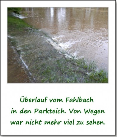 2013-hochwasser-leuba-sonntag-park-10