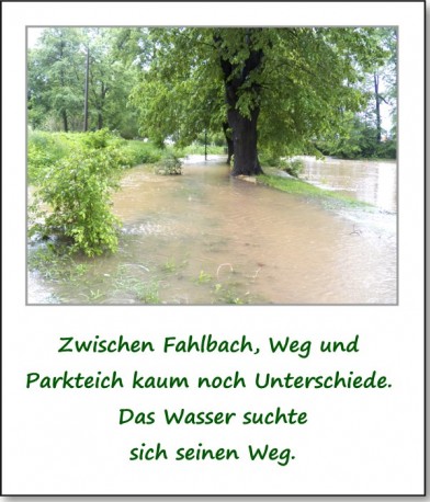 2013-hochwasser-leuba-sonntag-park-11