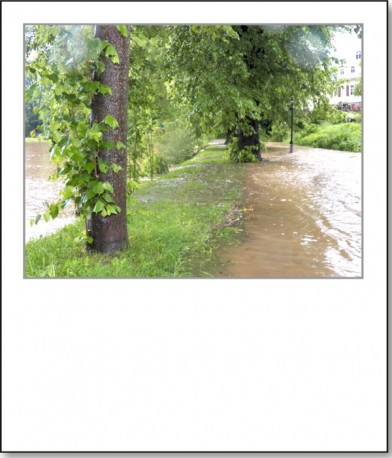 2013-hochwasser-leuba-sonntag-park-12