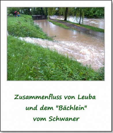 2013-hochwasser-leuba-sonntag-park-14