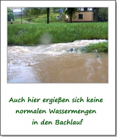 2013-hochwasser-leuba-sonntag-park-15