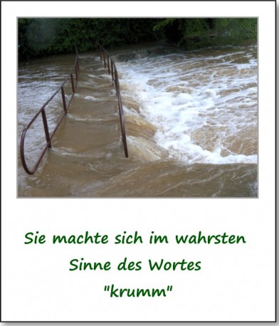 2013-hochwasser-leuba-sonntag-park-17