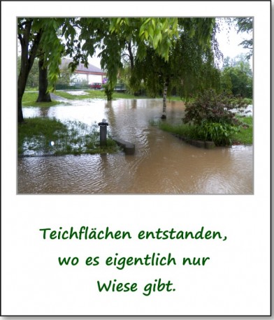 2013-hochwasser-leuba-sonntag-park-18