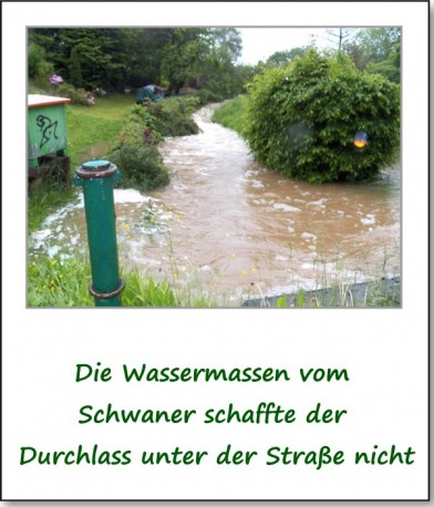 2013-hochwasser-leuba-sonntag-park-19