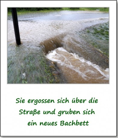 2013-hochwasser-leuba-sonntag-park-21