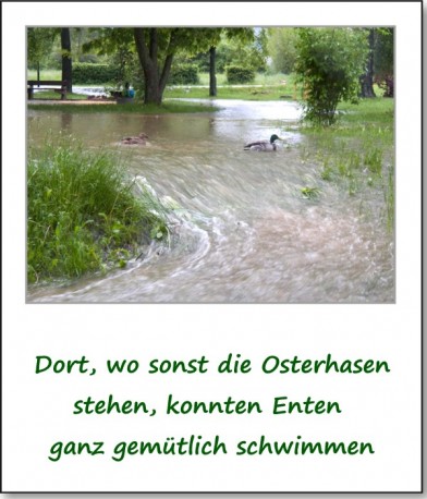 2013-hochwasser-leuba-sonntag-park-23