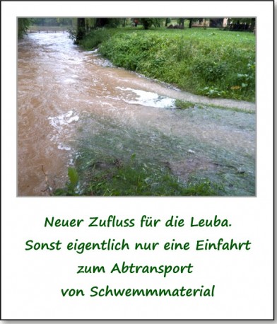 2013-hochwasser-leuba-sonntag-park-24