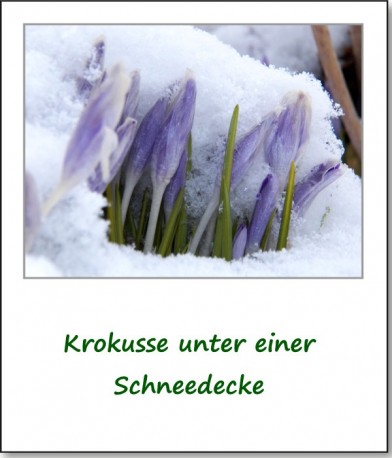 2013-ostern-im-schnee-05