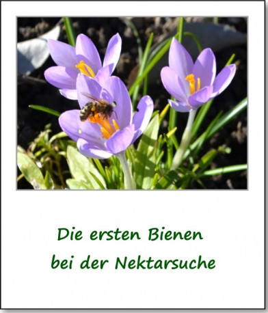 2014-fruehlingsimpressionen-02