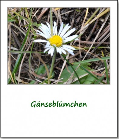 2014-fruehlingsimpressionen-03