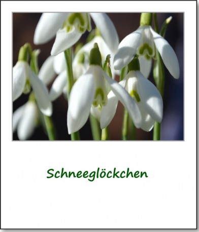 2014-fruehlingsimpressionen-04