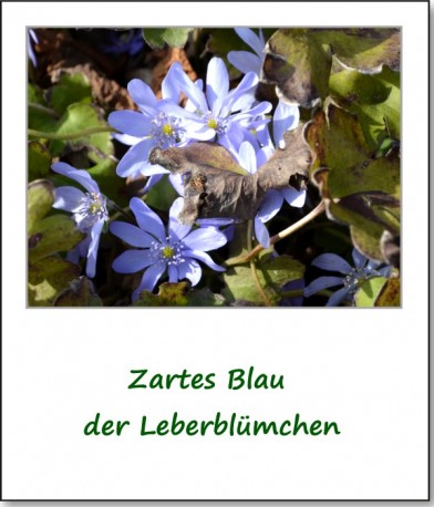 2014-fruehlingsimpressionen-05