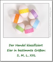 eiergroessen-eier-special